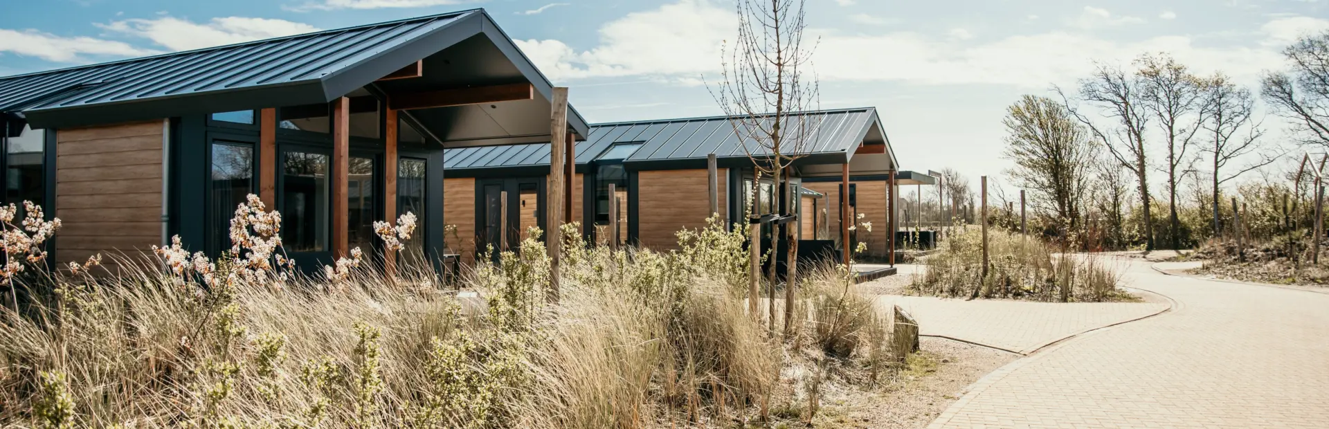 Twee zeester Chalets zijaanzicht De Zeeuwse Kust