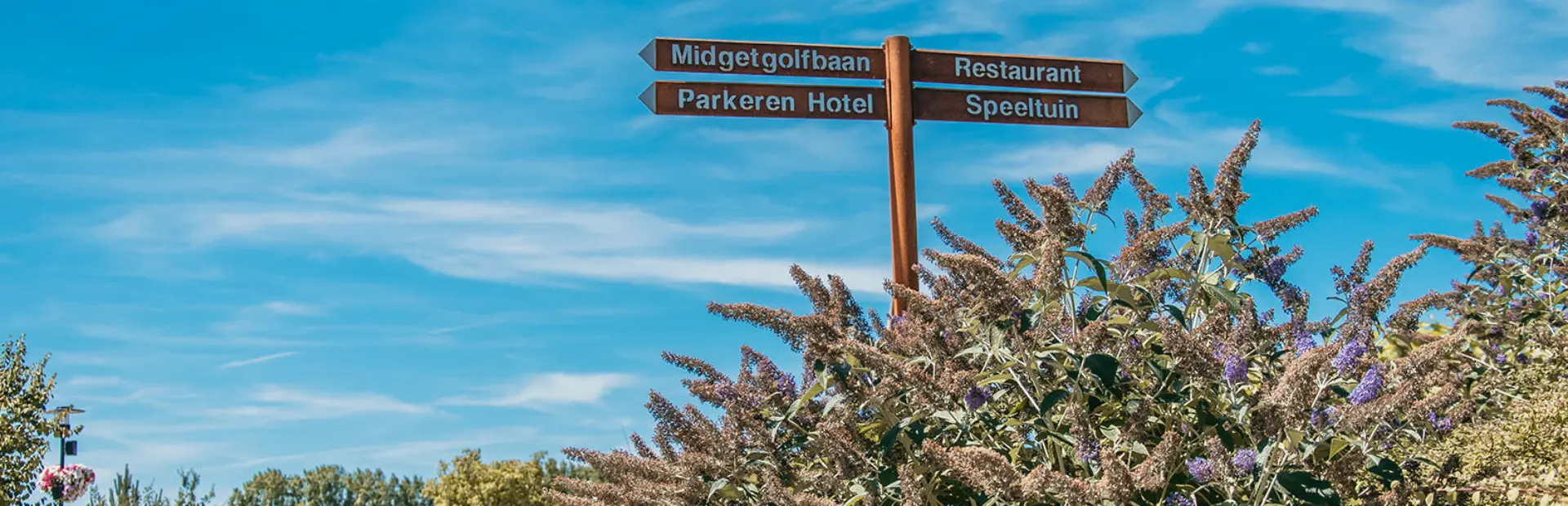 Zomers vakantiegevoel bij De Zeeuwse Kust, met wegwijzers naar ontspanning