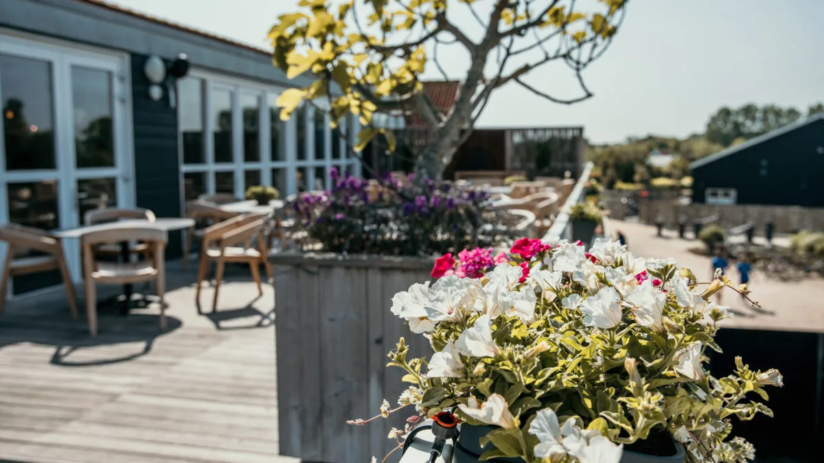 Terras La Costa