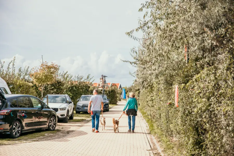 Twee mensen wandelen met een hond over een groene campingweg op Strandpark De Zeeuwse Kust met geparkeerde auto's en vakantiehuisjes op de achtergrond