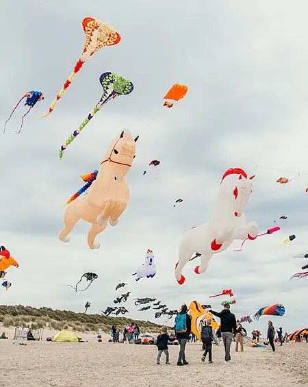 Kleurrijke vliegers boven het strand tijdens festival