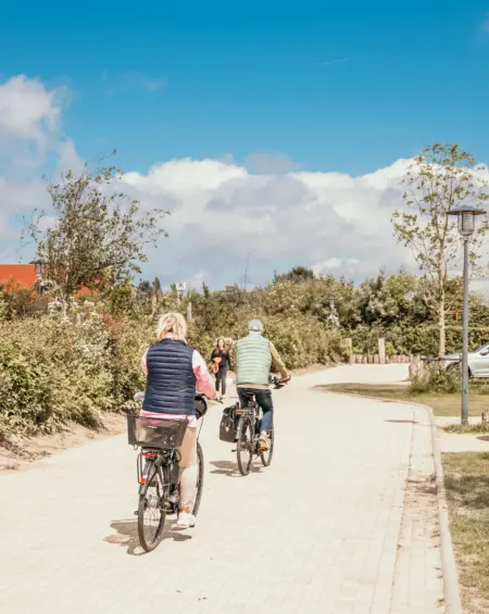 De Zeeuwse Kust DSC 2379 2024