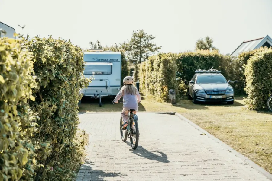 Fietsverhuur renesse
