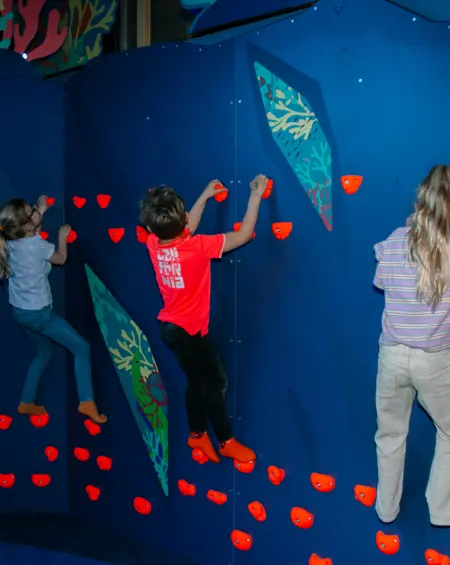 Kinderfeestjes Renesse