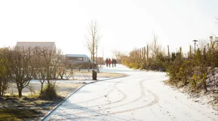 Dzk2 12 2023 20 kopie