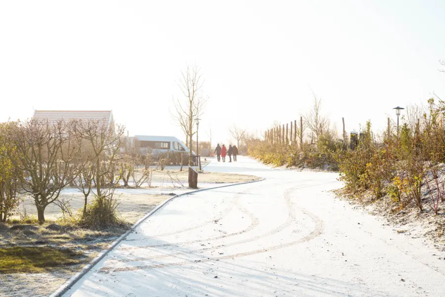 Zonnige winterdag Strandpark De Zeeuwse Kust
