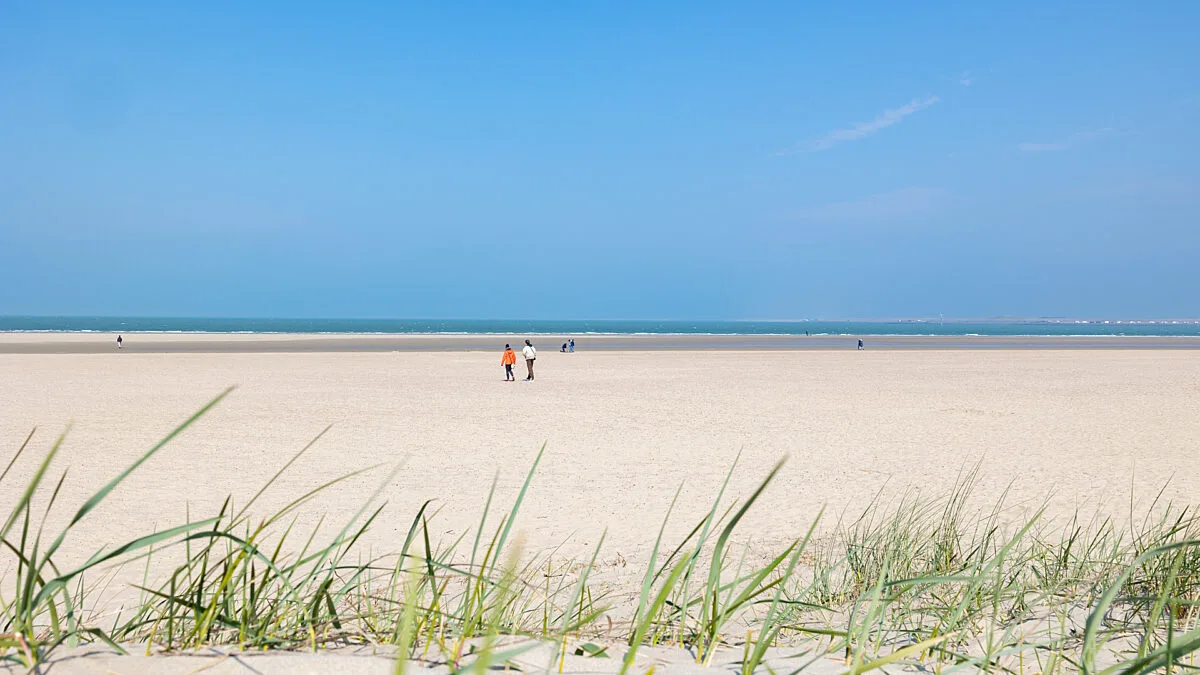 Strand Zeeuwse Kust