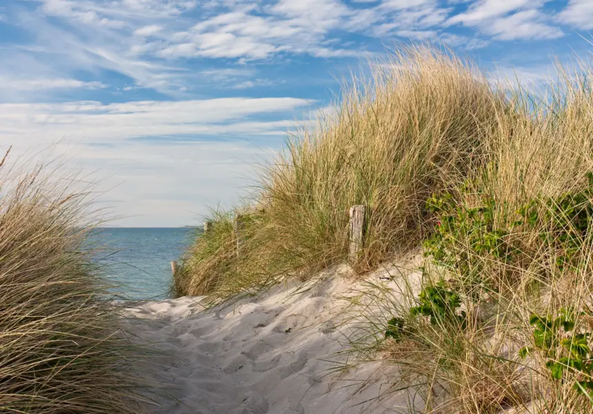Strand Renesse