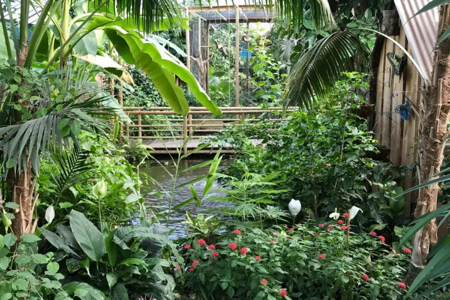 Berkenhof Tropical Zoo