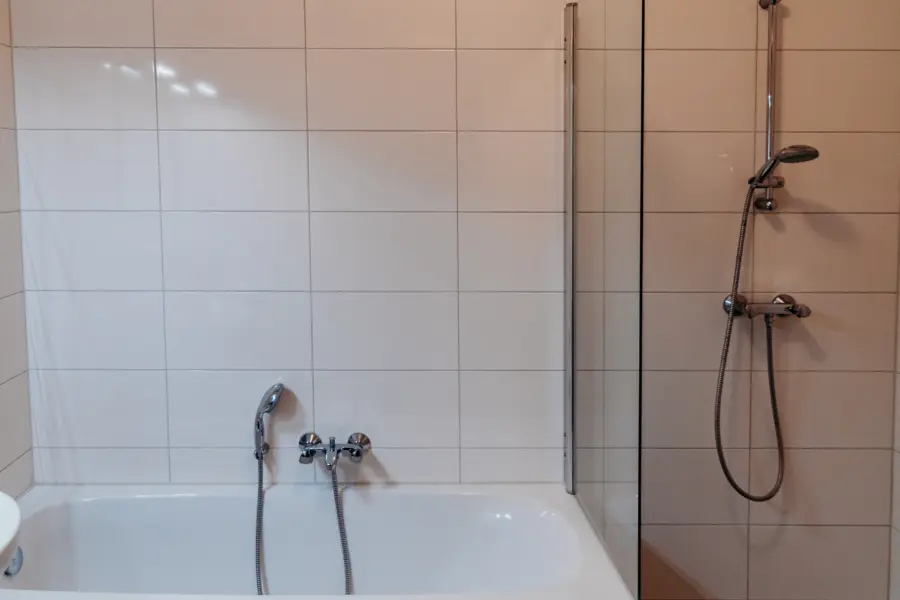 Zilthus 1 9955
