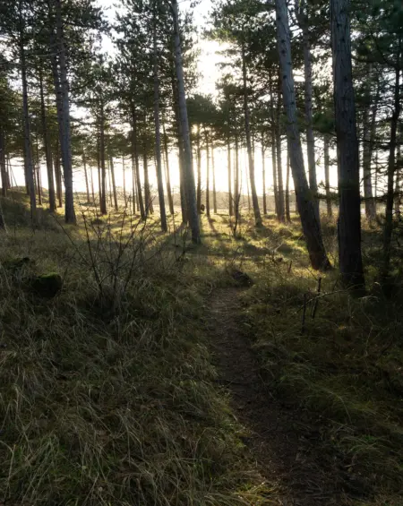 Finn ijspeert Zw67 O Zc WZXY unsplash