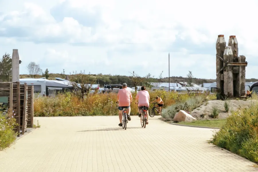 Fietsen de mensen in de zon